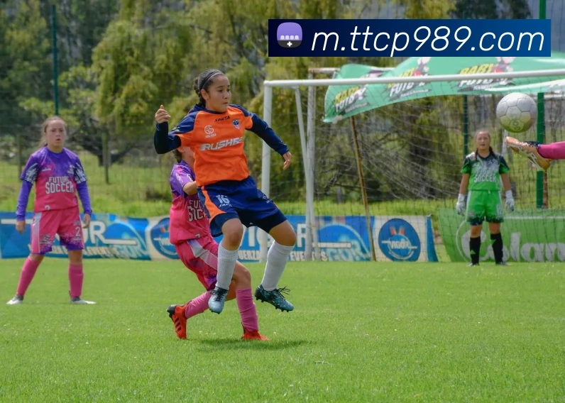 天天彩票官方网站服务体系